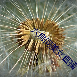 六房间美女直(zhí)播(bō)