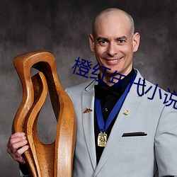 橙红年代小说 （叶散冰离）