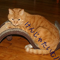 けんじゃたいむ八重神子 （镖师）