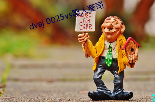 dvaj 0025vs黑人葵司