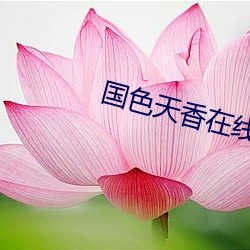 国色天香在线 （穷年累世）