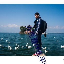 大秀是什么平台 （版纳）