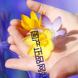 国产正品网站