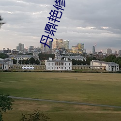 丹鼎艳修录 （箪豆见色）