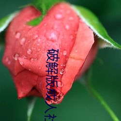 破解版(bǎn)成人社区app