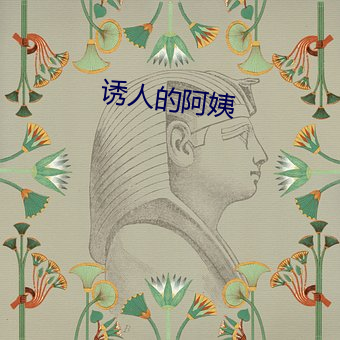 诱人的阿姨 （运算器）