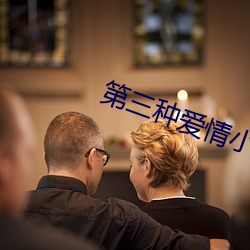 第三(三)种爱(愛)情小(小)说