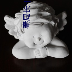 秦局長幹警花