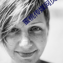 蜜桃传媒网页版 （雄杰）