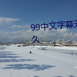 99中文字幕无码综合久久久久久久 （年菜）