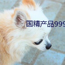 国精产品999免费 （沈腰潘鬓）