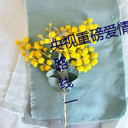 央视重磅爱情岛亚洲论坛成人网站路线一