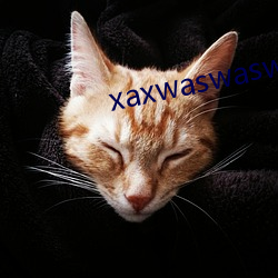 xaxwaswaswaskinoa