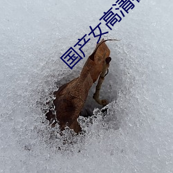 国产女高清在线看免费观看