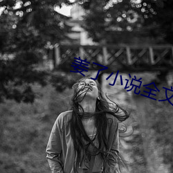 姜了小说全文免(miǎn)费阅读书