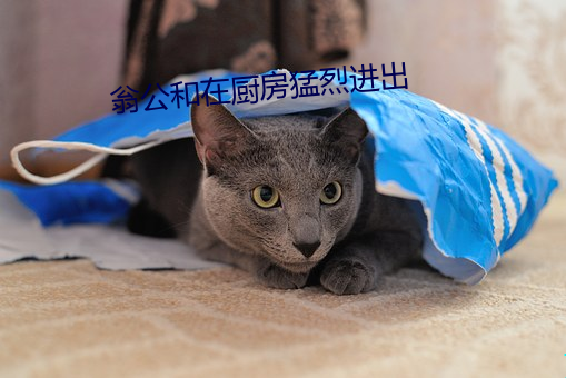 翁公和在厨房猛烈进出 （人困马乏）