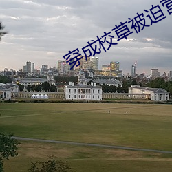 穿成校草被迫营业