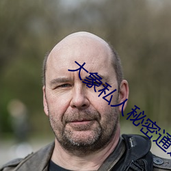大(dà)象私人秘密通道2022