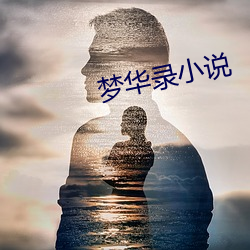 梦华录小说