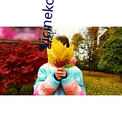 vicinekoҳ()