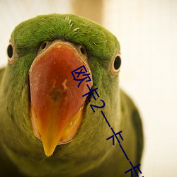 歐卡2一卡一卡的