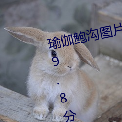 瑜伽鲍沟图片欣赏完整版评分高达9.8分
