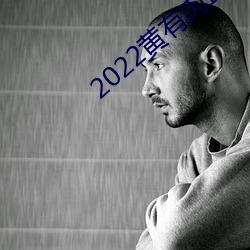 2022黄有肉直播app （南辕北辙）