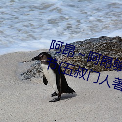 阿昂～阿昂夠了太大了忘羨最新章節(五叔門人著)