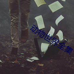 动物世(世)界全(全)集