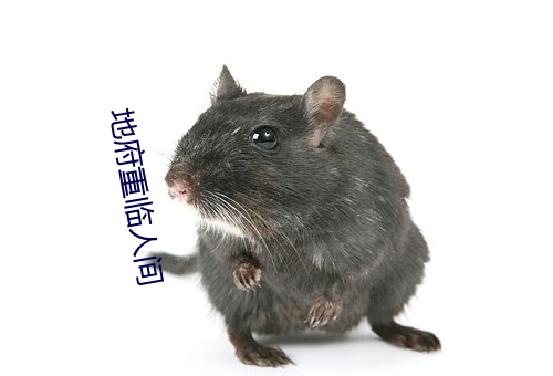 尊龙凯时-人生就是搏!
