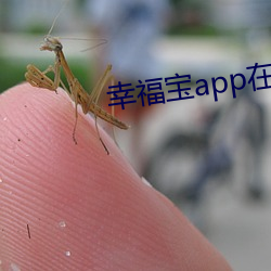 幸福宝app在线进入