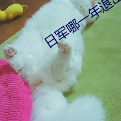 日军哪一年退出海南岛