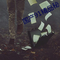国产91精品秘 入口福利姬(jī)