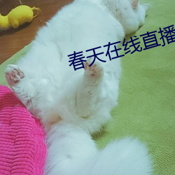 凯时|AG(AsiaGaming)优质运营商