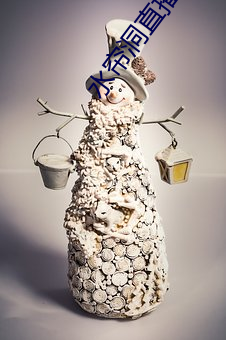 水帘洞直播