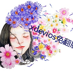 xdeviosⷭ ĭ飩