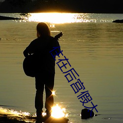 住在后宫假太