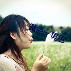 黄色(sè)一黄色