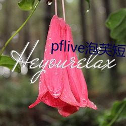 pflive芙短视频下(xi)载