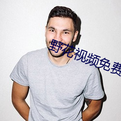 野花视频免费观看在线
