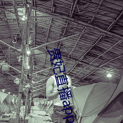 贵妃直播app