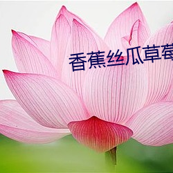 香蕉丝瓜草莓秋葵小猪芭乐 （走马上任）