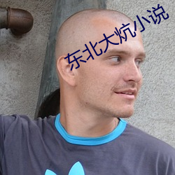 东北大炕小说