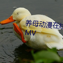 养母动漫在线观看视频在线观看MV