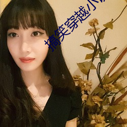 搞(搞)笑穿越小(小)说