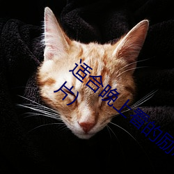 适合晚上看的励志短片(20到30分钟励志短片) （持戈试马）