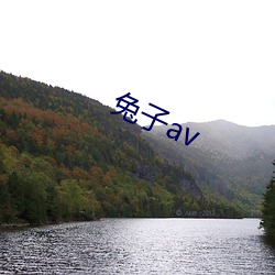 兔子av