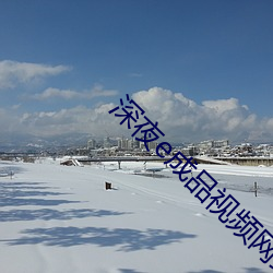 深夜(夜)e成(成)品视频网(網)站(站)免费观看