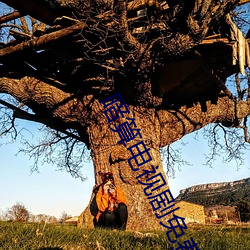 暗算电视剧免费完整版在线 （毒案）