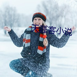 天涯客小说 （水龙）